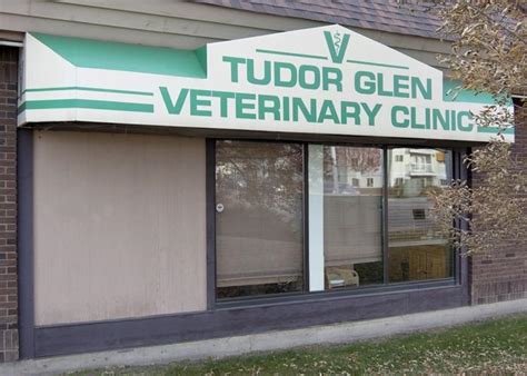 tudor glen veterinary clinic